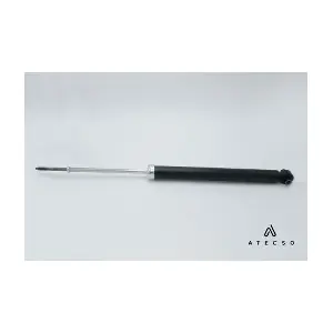 AMT00136 ATECSO