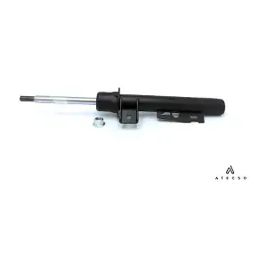 AMT00250 ATECSO