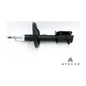 AMT00255 ATECSO