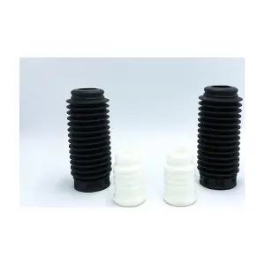 KPA00118 ATECSO