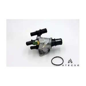 TRM00115 ATECSO