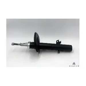 AMT00298 ATECSO