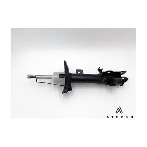 AMT00396 ATECSO