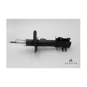 ATECSO AMT00118