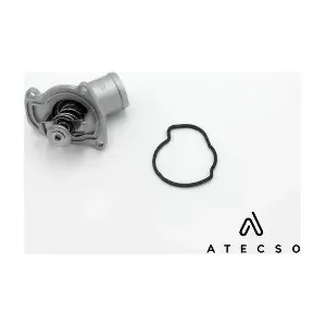 TRM00119 ATECSO
