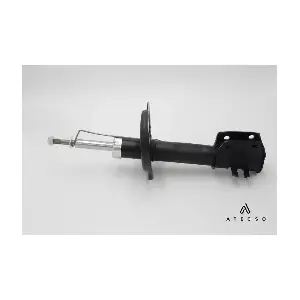 AMT00107 ATECSO