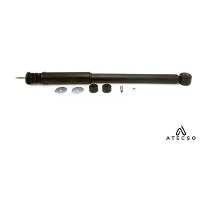 AMT00420 ATECSO