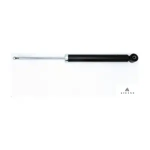 AMT00490 ATECSO