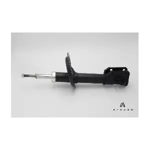 AMT00106 ATECSO