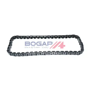 A1310117 BOGAP