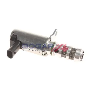 BOGAP P1340102