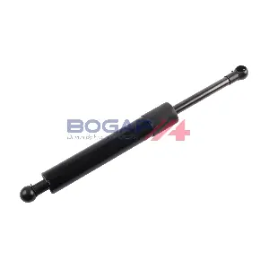C5260119 BOGAP