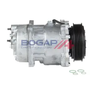 P4110120 BOGAP