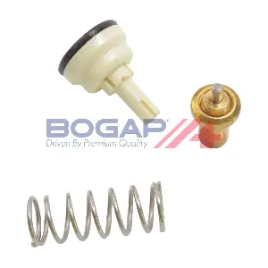 BOGAP A4245147