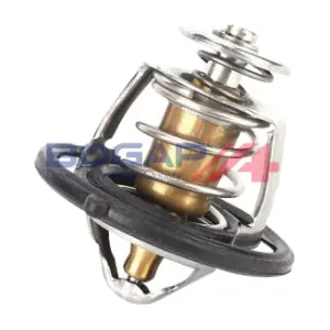 BOGAP H4245101