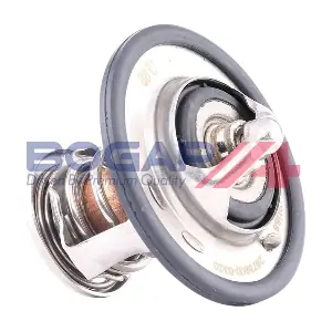 BOGAP T4245106