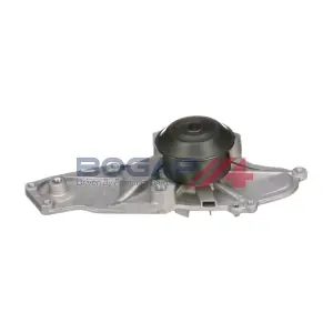 H4234104 BOGAP