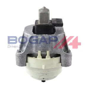 B1911309 BOGAP