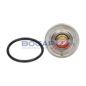 BOGAP N4234111