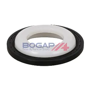 B1119108 BOGAP