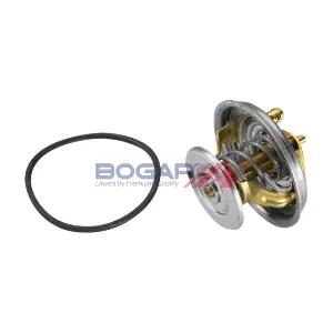 C4245135 BOGAP