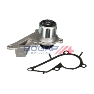 R4234114 BOGAP