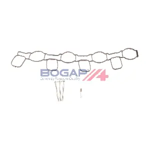 A1712103 BOGAP