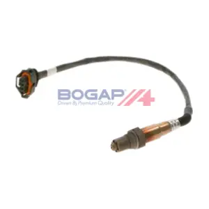 BOGAP W6119102