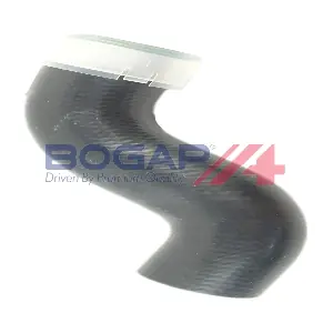 BOGAP C1711137