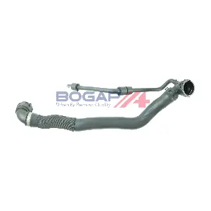 A4228436 BOGAP