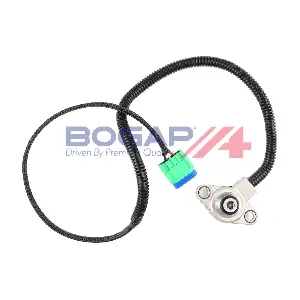 P6123100 BOGAP