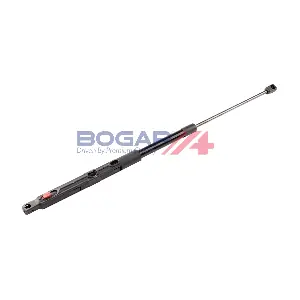 C5134130 BOGAP