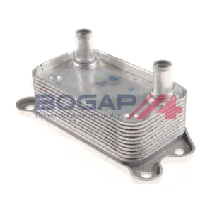 V4222100 BOGAP