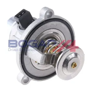 BOGAP B4245101