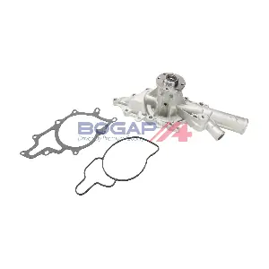 C4234160 BOGAP