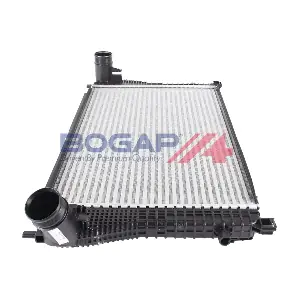 BOGAP A4220117