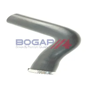C1711154 BOGAP