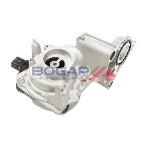 T4234117 BOGAP