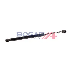 V5134106 BOGAP