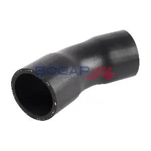 A1711303 BOGAP