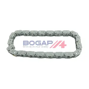 A1310113 BOGAP