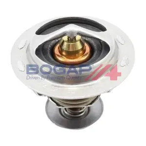 A4245162 BOGAP