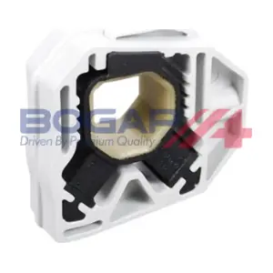 A4216110 BOGAP