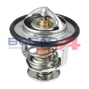 BOGAP S4234102