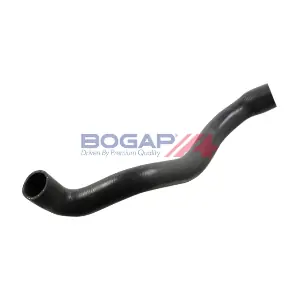 C4228419 BOGAP