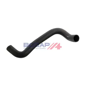 C4228383 BOGAP