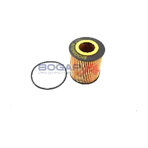 B8113142 BOGAP