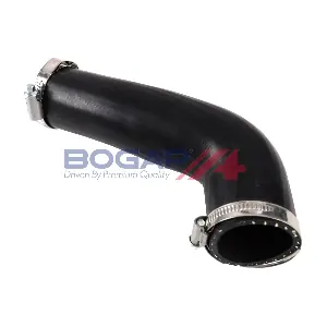 BOGAP V1711100
