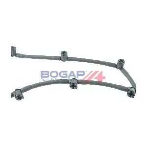 C1621117 BOGAP