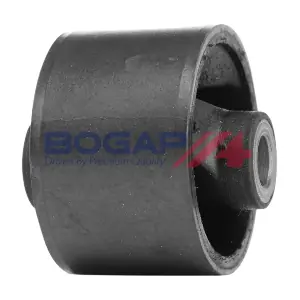 V2118100 BOGAP